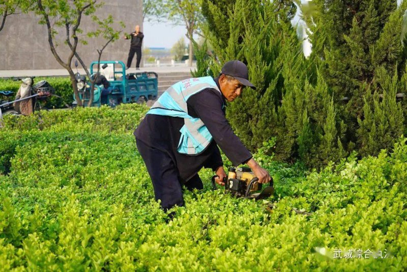 园林绿化养护